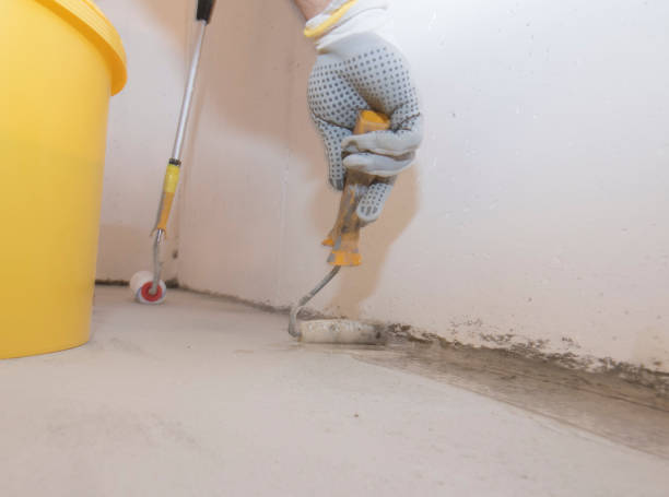 Best Termite Inspection and Treatment  in Hahnville, LA